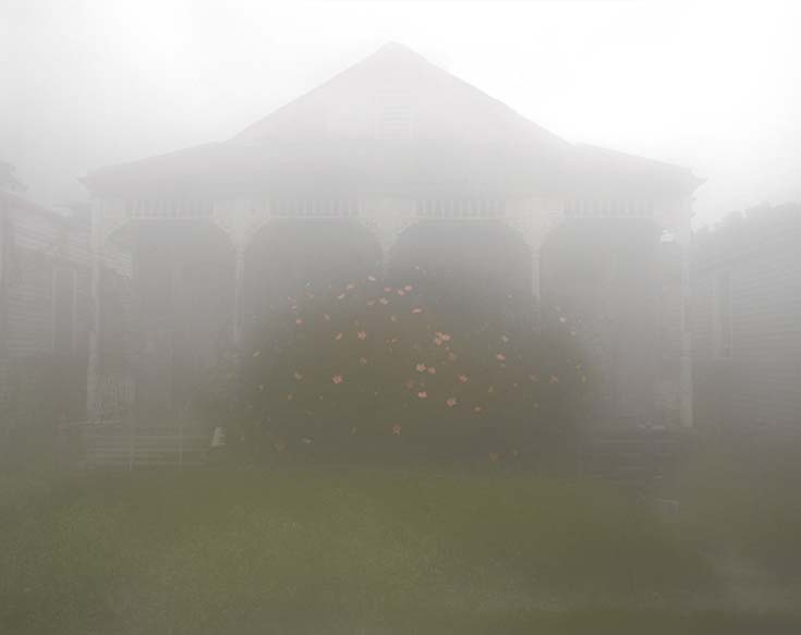 Foggy House